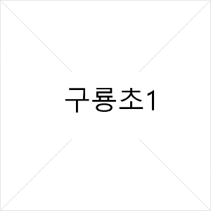 구룡초1 = 교구와 교재(하노이탑 핑크, 도미노 핑크, 폴리헥스 핑크)